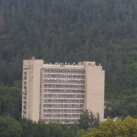 Mtis Kheoba Daire Borjomi Dış mekan fotoğraf
